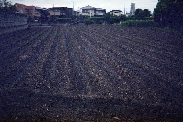 Film photo: an empty ploughed field